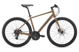 ジャイアント・グラビエ R3