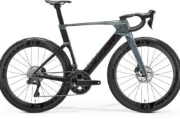 メリダ　第５世代リアクト