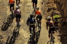 PNS Mechanism2026春夏