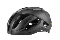 ジャイアント　REV PRO MIPS