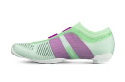 フィジーク・ヴェント・ベガ