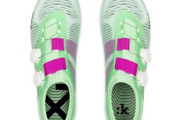 フィジーク・ヴェント・ベガ