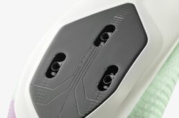 フィジーク・ヴェント・ベガ