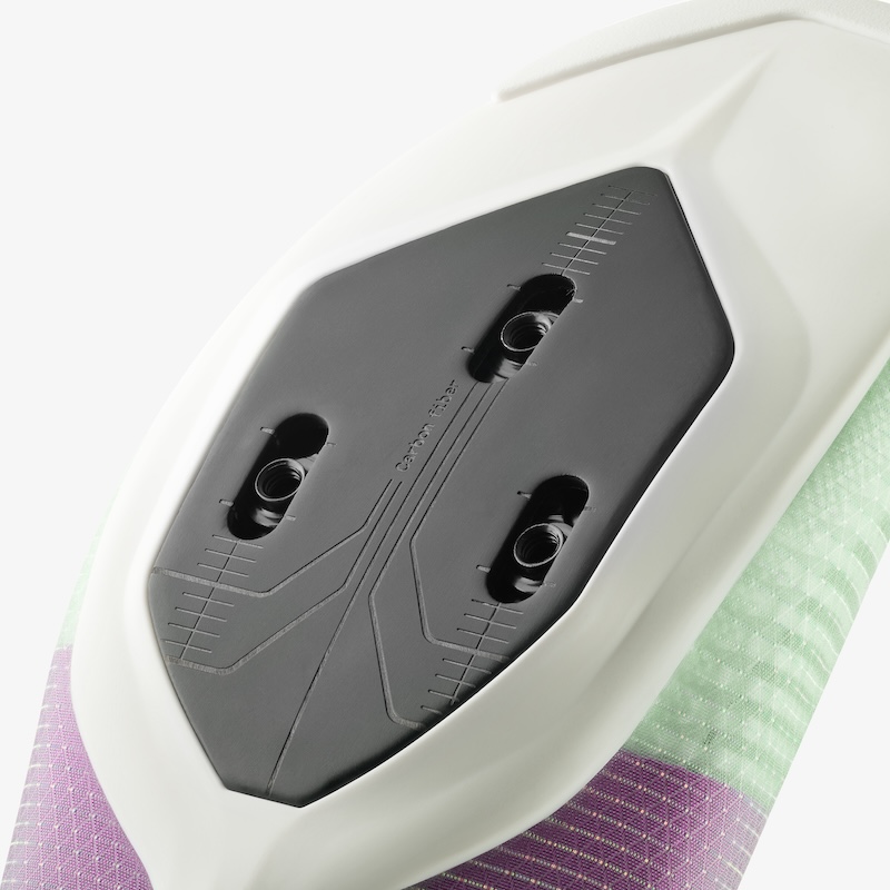 フィジーク・ヴェント・ベガ