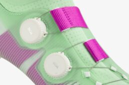 フィジーク・ヴェント・ベガ