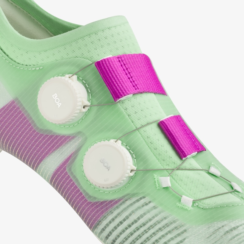 フィジーク・ヴェント・ベガ