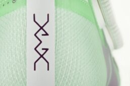 フィジーク・ヴェント・ベガ