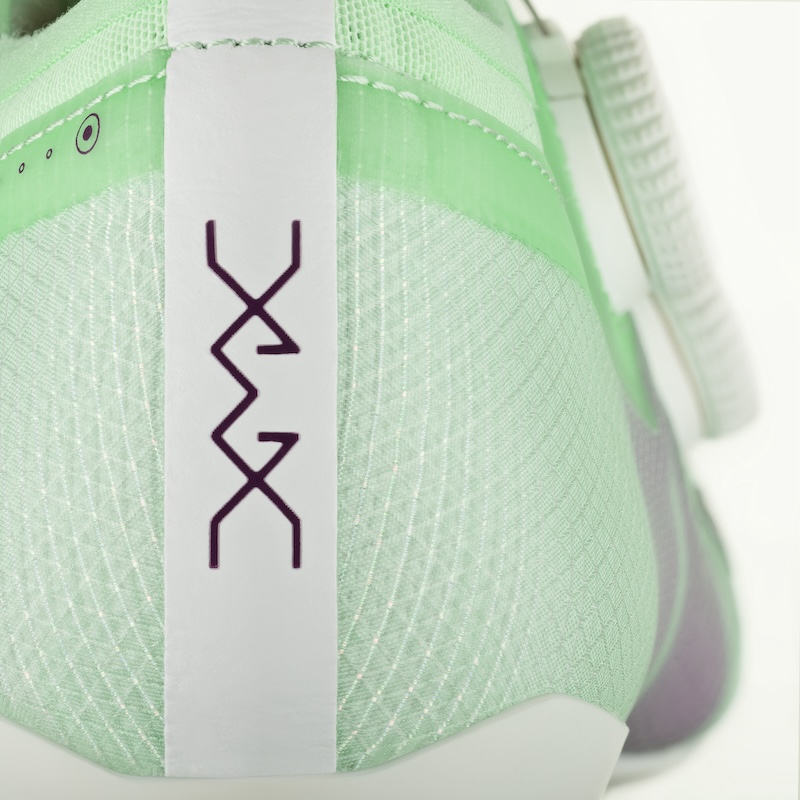 フィジーク・ヴェント・ベガ