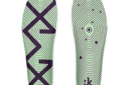 フィジーク・ヴェント・ベガ