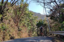香陵台へGラインで上る