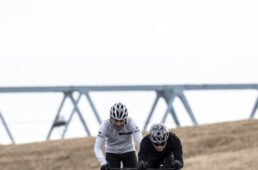 大屋さんと編集長