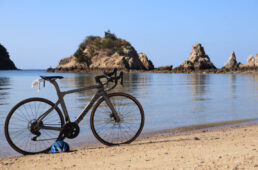 岬で見つけた海食の海岸