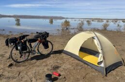 サハラ砂漠のオアシスで休憩