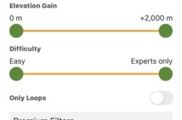 ウィキロックの設定画面