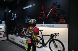 ドグマの全色を展示