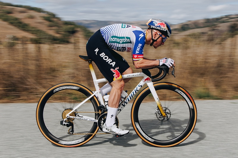 スペシャライズド　Cotton TLR