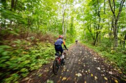 林道走行の様子