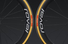 スペシャライズド　Cotton TLR