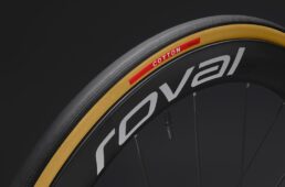 スペシャライズド　Cotton TLR