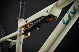 Liv 新型エンボルデン