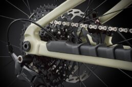 Liv 新型エンボルデン