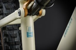 Liv 新型エンボルデン