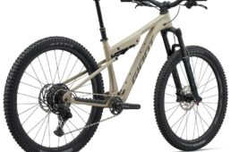 ジャイアント　新型スタンス