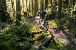 Liv 新型エンボルデン