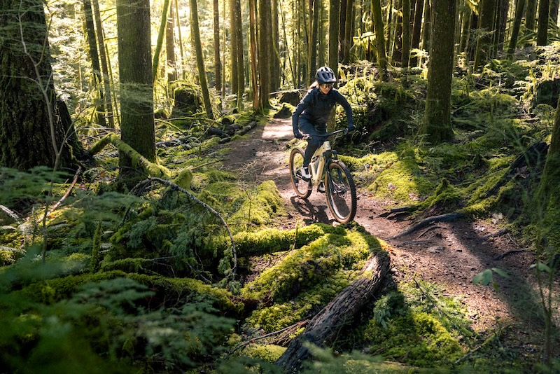 Liv 新型エンボルデン