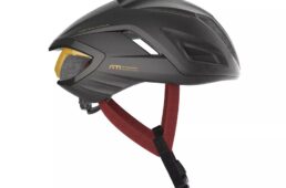 ブラックビューティー