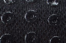 パールイズミ　ブレスワシソックス