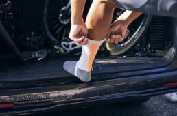 パールイズミ　ブレスワシソックス