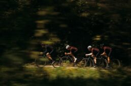 フェルト 新型BREED