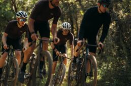 フェルト 新型BREED