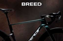 フェルト 新型BREED