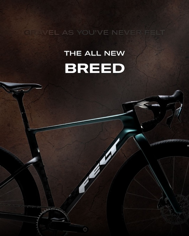 フェルト 新型BREED