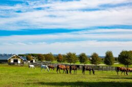ジャイアント　AROUND SAPPORO RIDE