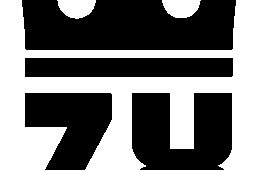 パナレーサー　グラベルキング ZX