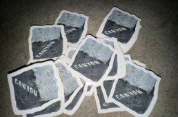 キャニオン　ZINE