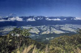 平本雅典さん写真展