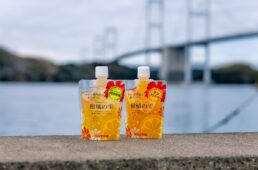 しまなみ海道「ちょいディープ」自転車旅　今治出発１日目