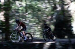 パナレーサー　グラベルキング ZX