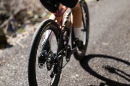 パナレーサー　グラベルキング ZX