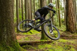 ジャイアント　新型スタンス