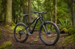 ジャイアント　新型スタンス