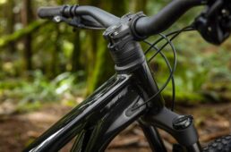 ジャイアント　新型スタンス