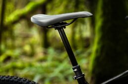 ジャイアント　新型スタンス