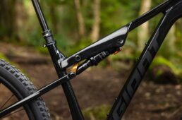 ジャイアント　新型スタンス