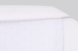 パールイズミ2026プレミアムサミット