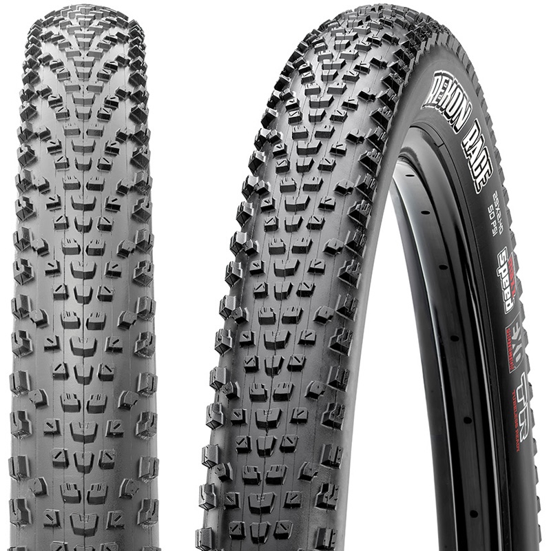 リーコンレース